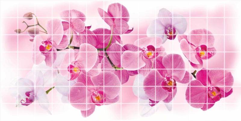 Dekoračné interiérové ​​panely Rosea Orchid