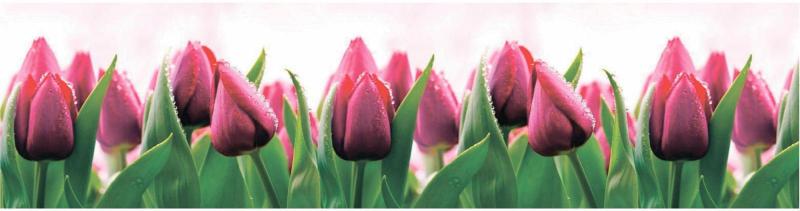 Kuchynský ABS panel Tulips