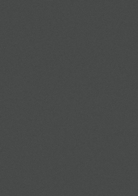 Plastová palubka/obklad PROFI CORPO Mattex Anthrazitgrau (6003) / Conti Mattex Anthrazitgrau